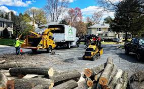 Rowlett, TX Tree Removal Company